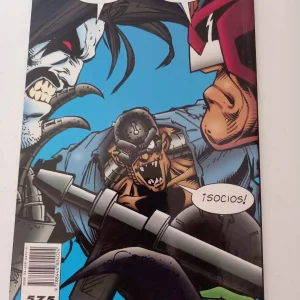 Lobo DC Cómic