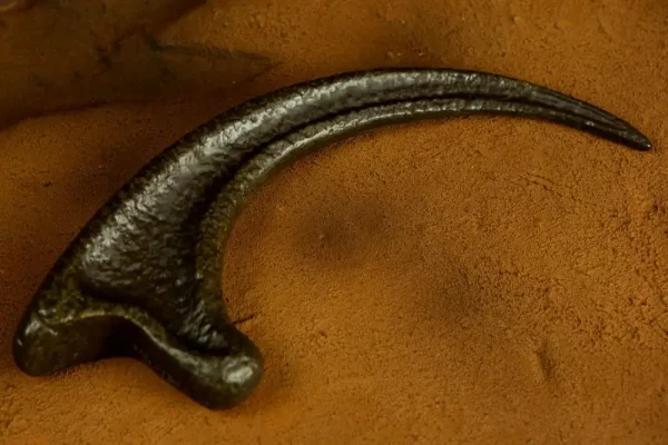 Garra de Velociraptor Jurassic Park Garra de Velociraptor Jurassic Park
